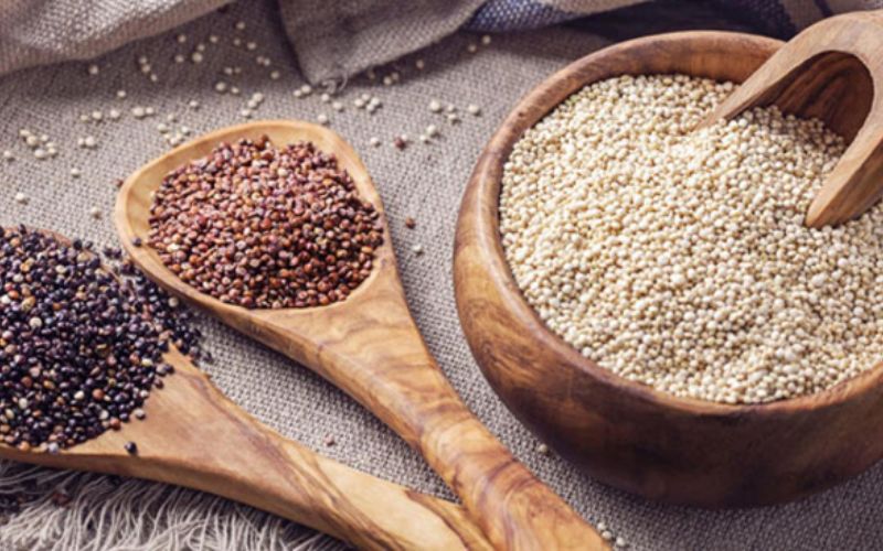 Nuga Food cung cấp hạt diêm mạch chất lượng