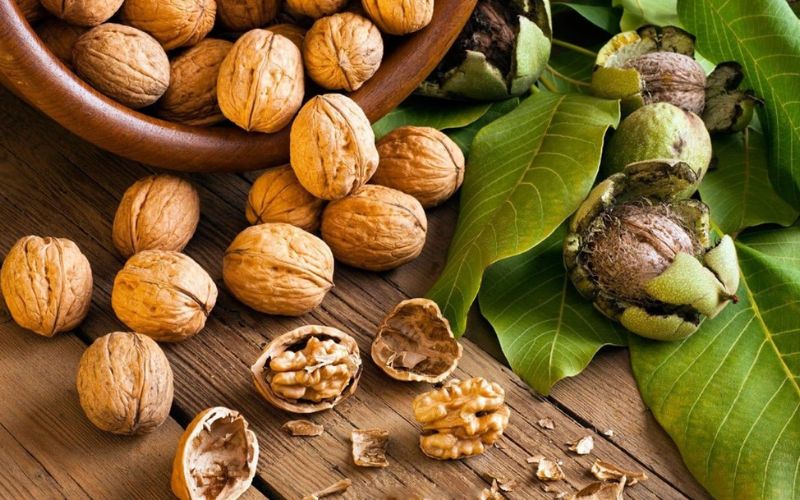 Hạt óc chó Hartley giúp ngăn ngừa ưng thư