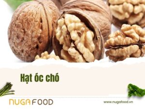 Hạt óc chó có tác dụng g
