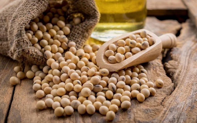 Đậu nành chống lại một số bệnh ung thư