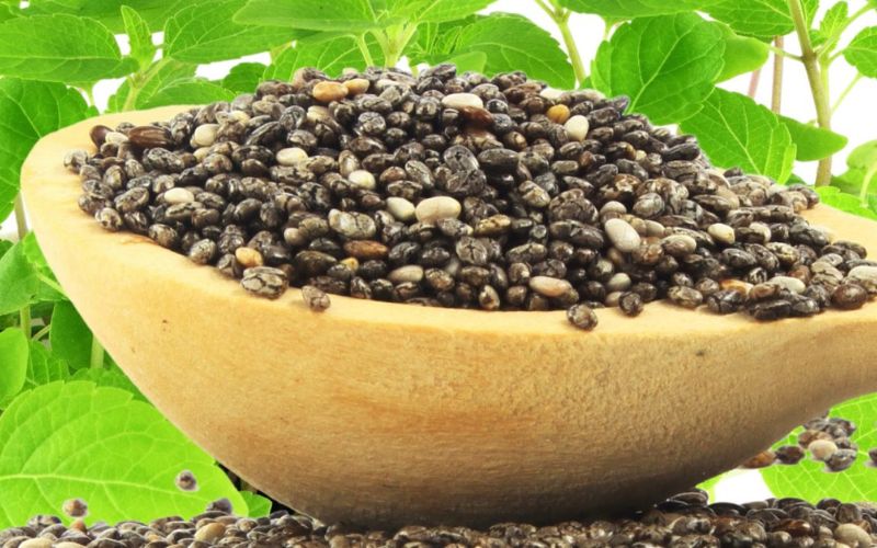 Trẻ em không bị dị ứng có thể dùng hạt chia sống