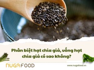 hạt chia giả
