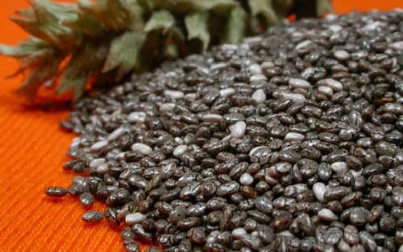 Hướng dẫn cách phân biệt hạt é và hạt chia