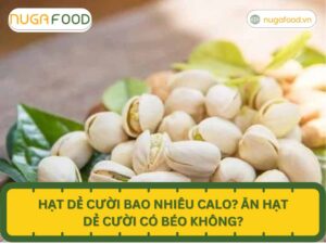 hạt dẻ cười bao nhiêu calo