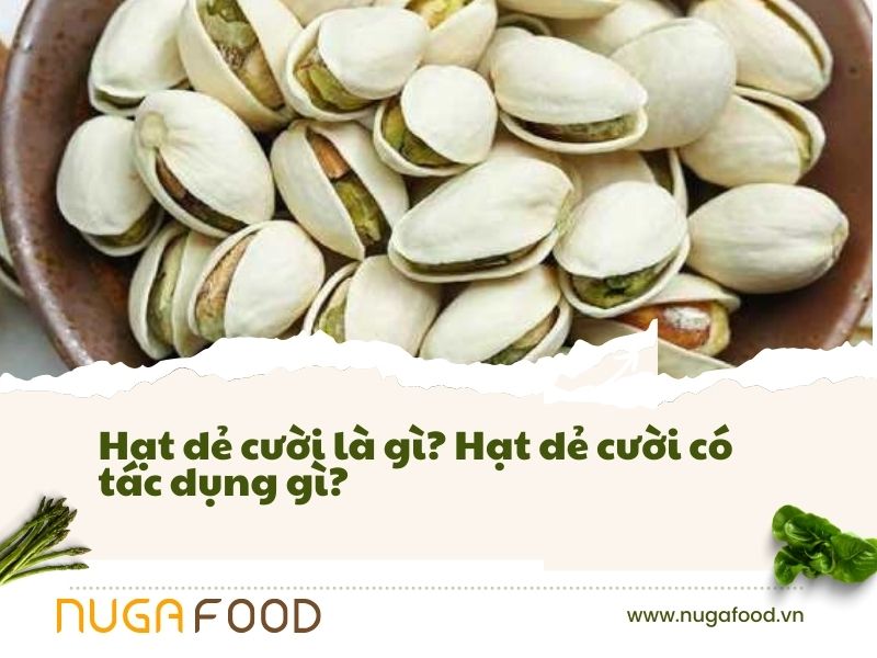 hạt dẻ cười