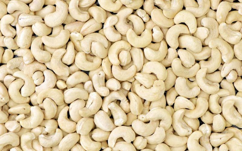 NugaFood chuyên cung cấp các loại hạt điều chất lượng