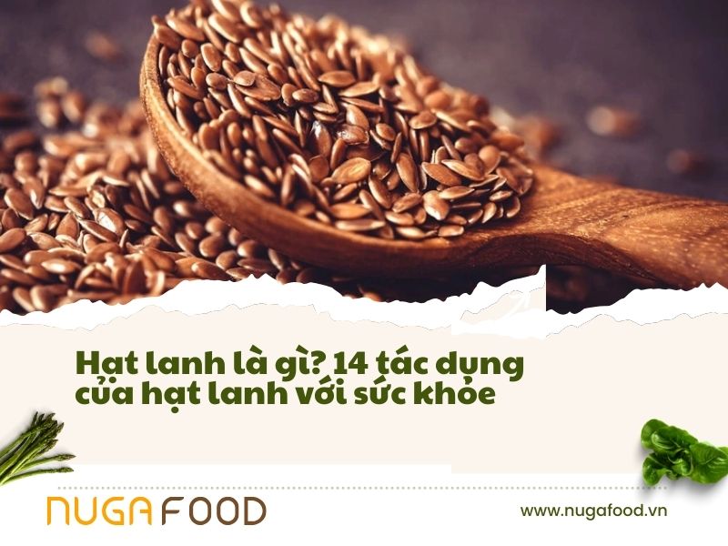 Tác dụng của hạt lanh