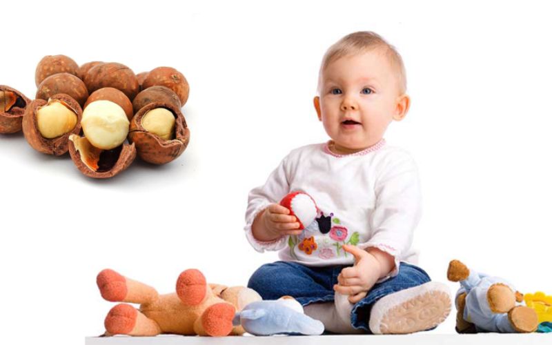 Hạt macca giúp phát triển cấu trúc xương ở trẻ nhỏ