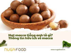 Hạt macca tiếng anh là gì