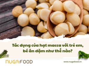 Tác dụng của hạt macca với trẻ em