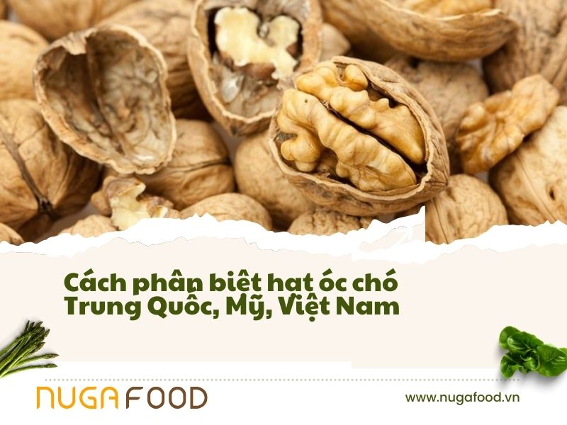 phân biệt hạt óc chó Trung Quốc