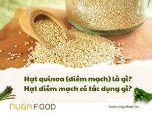 hạt quinoa
