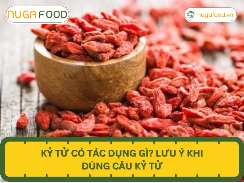 Kỷ tử có tác dụng gì