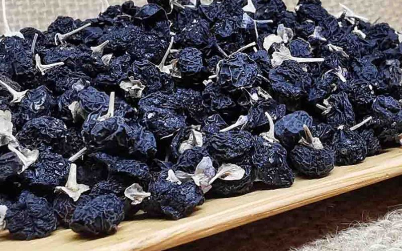 Kỷ tử đen giảm nguy cơ mắc bệnh ung thư