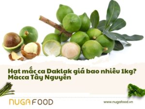Hạt mắc ca Daklak