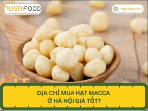 Địa chỉ mua hạt macca ở Hà Nội giá tốt?