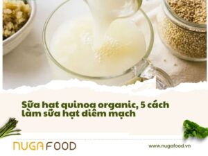 sữa hạt quinoa