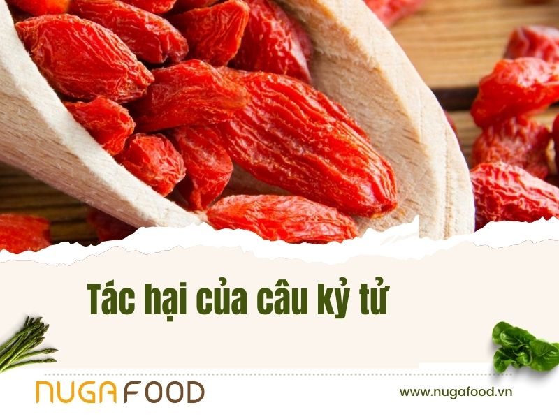 Tác hại của câu kỷ tử