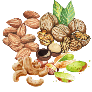 HẠT DINH DƯỠNG CAO CẤP