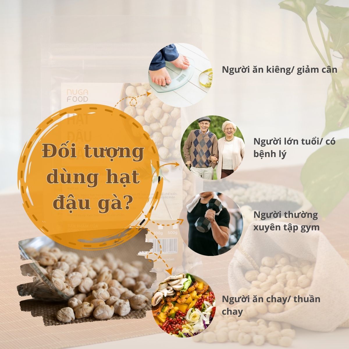 hạt đậu gà
