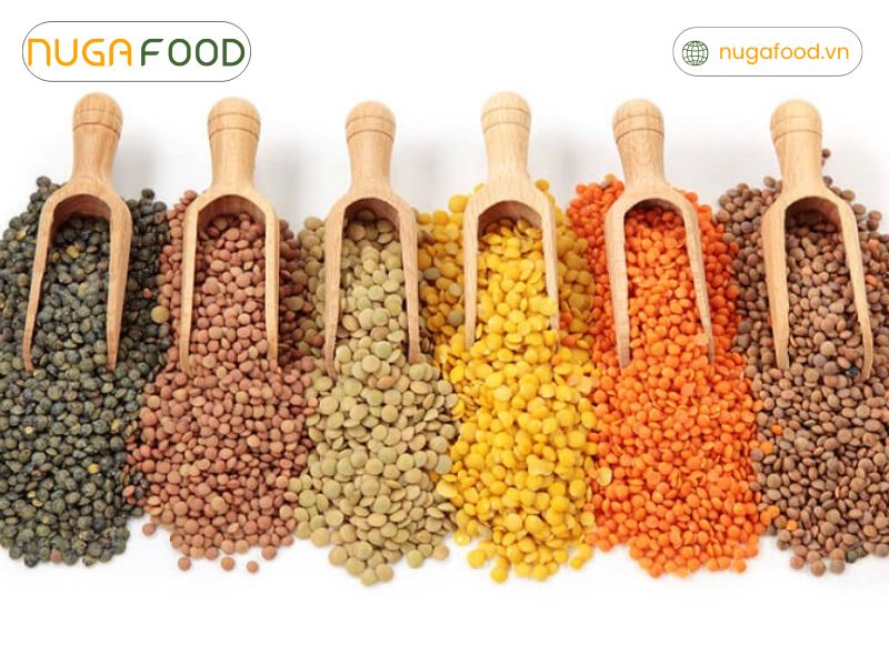 Protein và chất xơ có trong đậu lăng mang lại cảm giác no lâu hơn so với nhiều loại thực phẩm khác