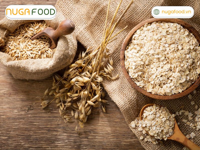 Chất xơ trong yến mạch giúp cải thiện nhu động ruột, ngăn táo bón và nuôi dưỡng lợi khuẩn đường ruột